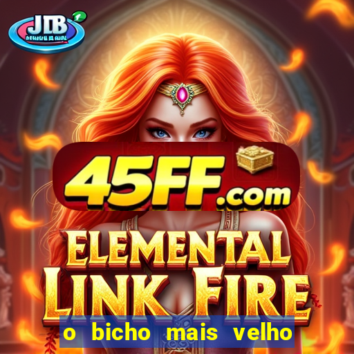 o bicho mais velho da loteria dos sonhos